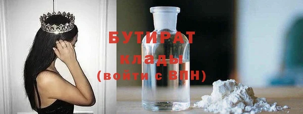 сатива Новодвинск