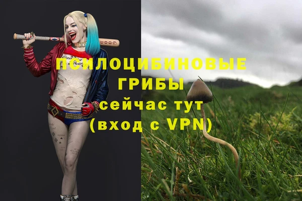 метадон Армянск