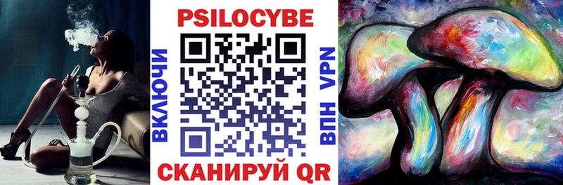 Галлюциногенные грибы Psilocybine cubensis  Минеральные Воды 