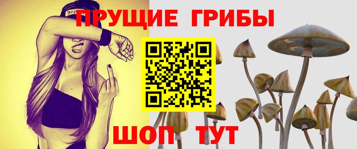 Минеральные Воды  Галлюциногенные грибы MAGIC MUSHROOMS  Галлюциногенные грибы Psilocybine cubensis  Вход с VPN 